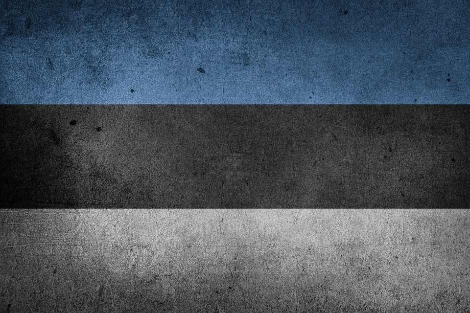 Эстония ужесточает контроль над криптовалютными лицензи для микроразметки