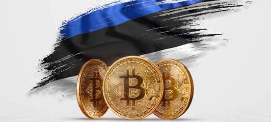 Эстония – страна для открытия криптобизнеса для микроразметки
